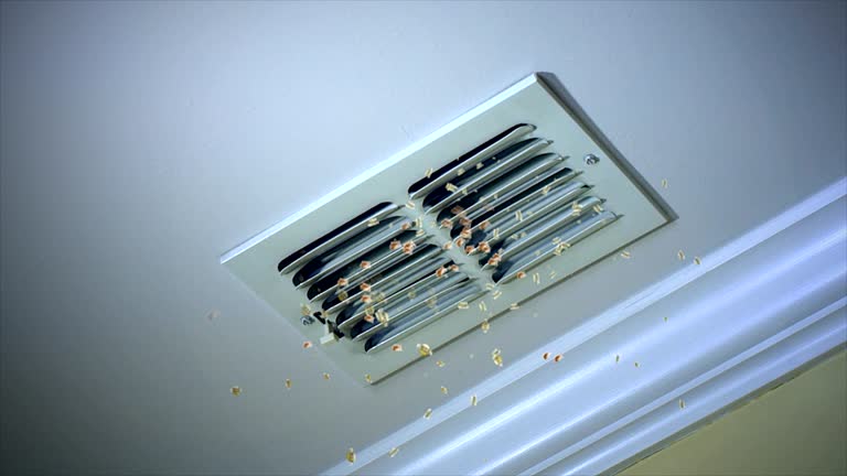 Best Air Duct Cleaning Company Near Me  in Muldrow, OK